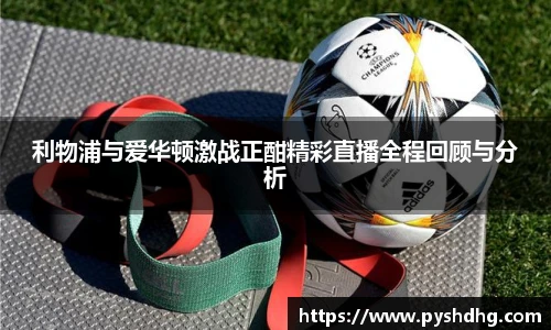 v66官网