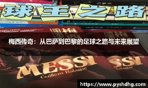 v66官网